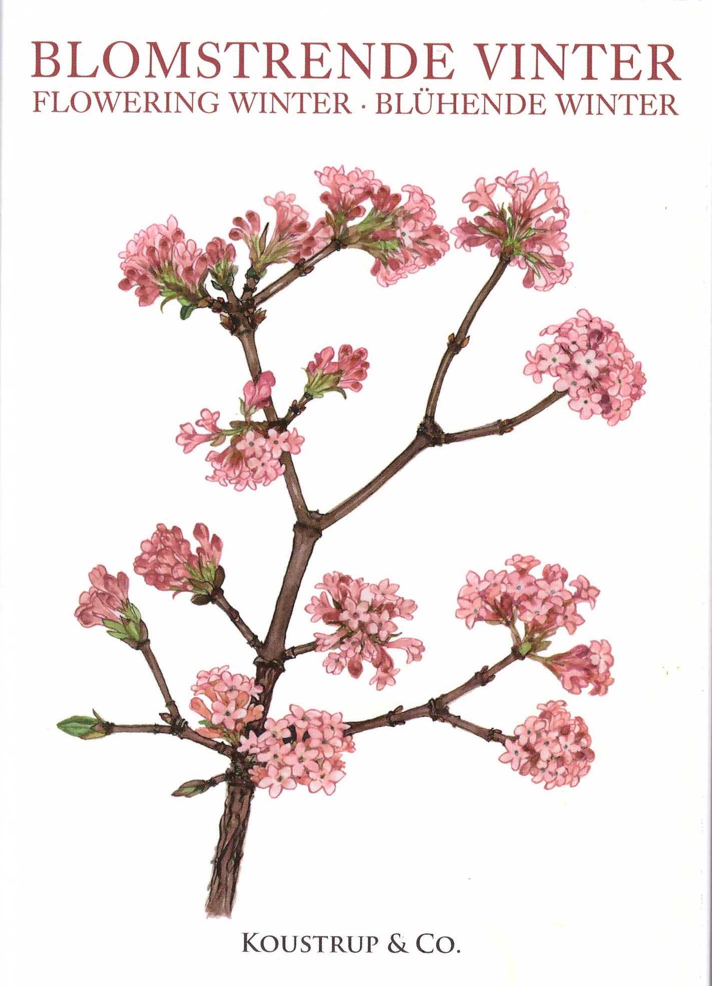Blomstrende vinter